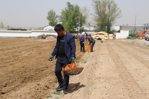 20210615110009891.jpg 04_副本.jpg