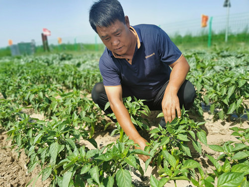 20210615110056251.jpg 08_副本.jpg