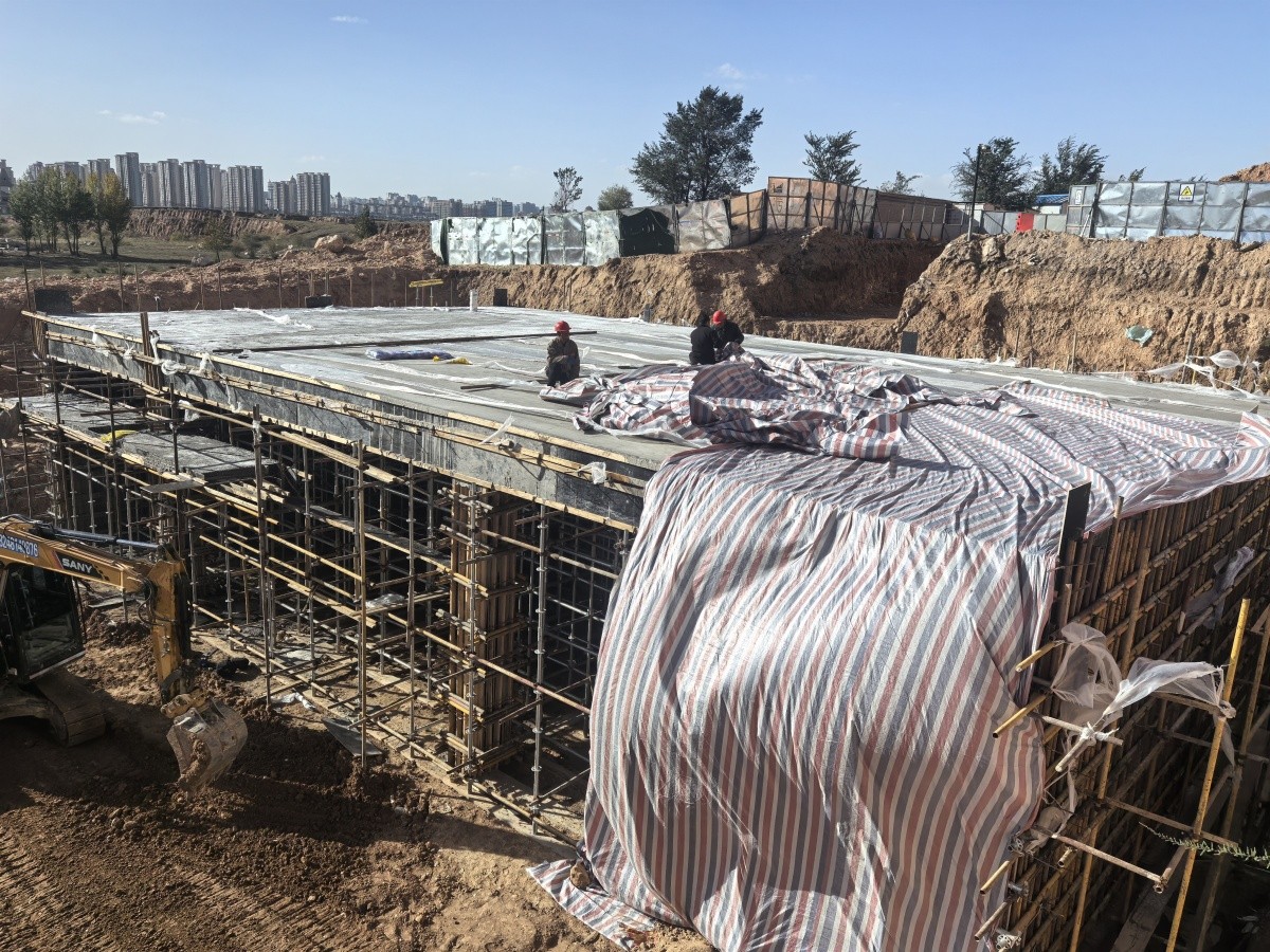 20241127093621374.jpg 20241127093621374.jpg