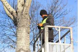 20250218152943890.png image.png